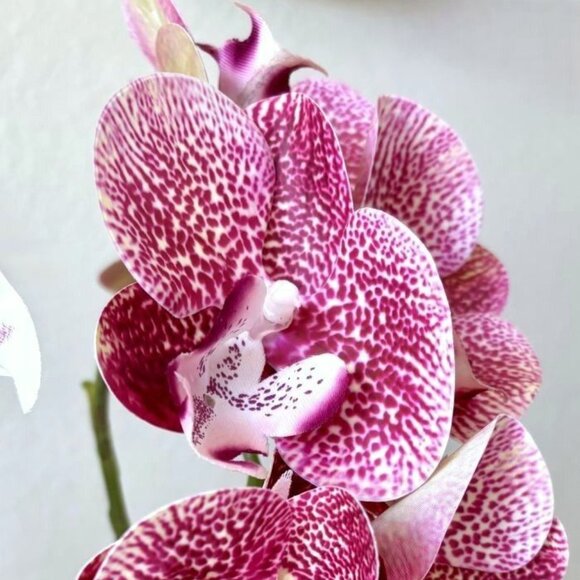 Realistic 22.5" Artificial Flowers Speckled Purple Phalaenopsis Moth Orchid Stem - Picture 2 of 5